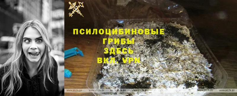 Псилоцибиновые грибы Magic Shrooms Жуковский